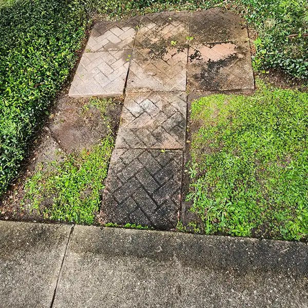 Dirty Pavers with Algae and Bacterial Growth in Palm Bay Fl