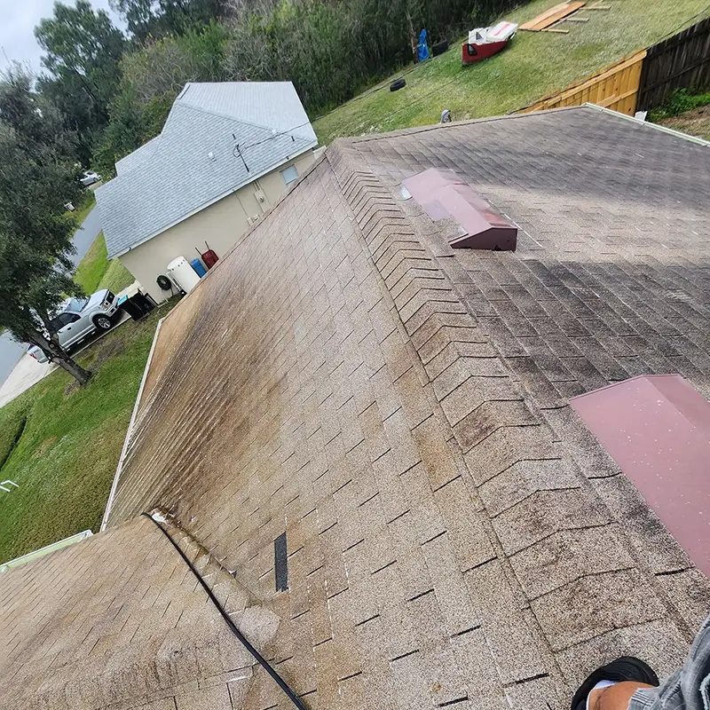 Roof with black streaks in need of a roof cleaning from Brevard Exterior Washing. Palm Bay Florida